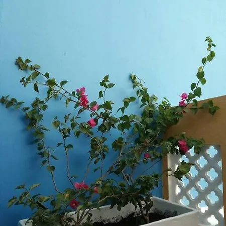 Сasa de vacaciones Charming Colonial With Pool, Walled *
